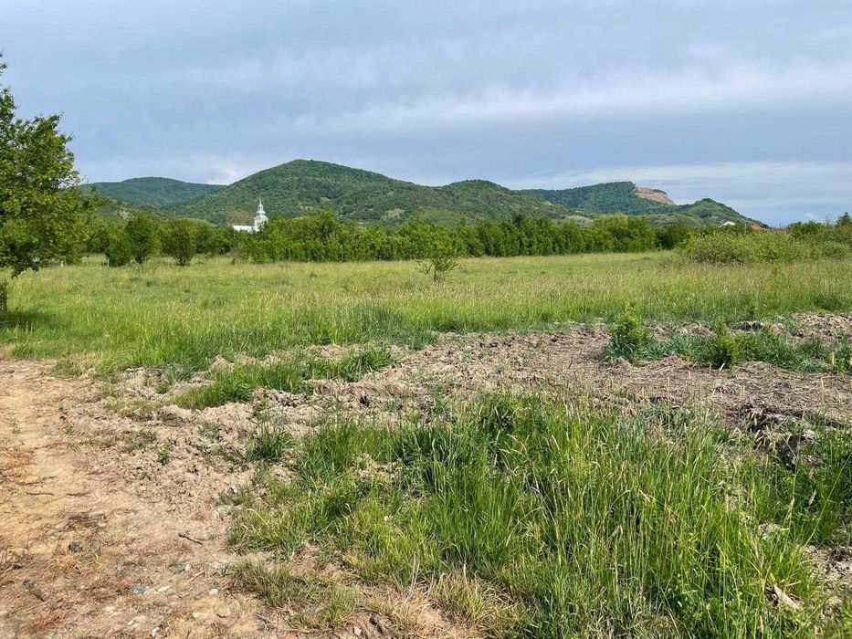 3463 mp teren intravilan Seini de vanzare, toate utilitățile, construibil, plat