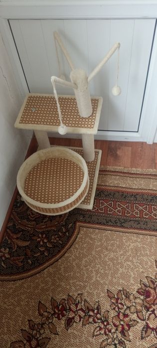 Дом для кошки в хорошем цене
