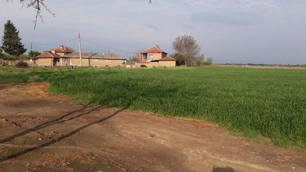 Продава се Парцел в с. Мало Конаре, Област Пазарджик - 13150 кв.м за 5 €/кв.м - Снимка #1