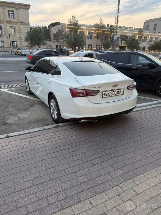 Malibu 2.  .1.5 ideal kraska radnoy