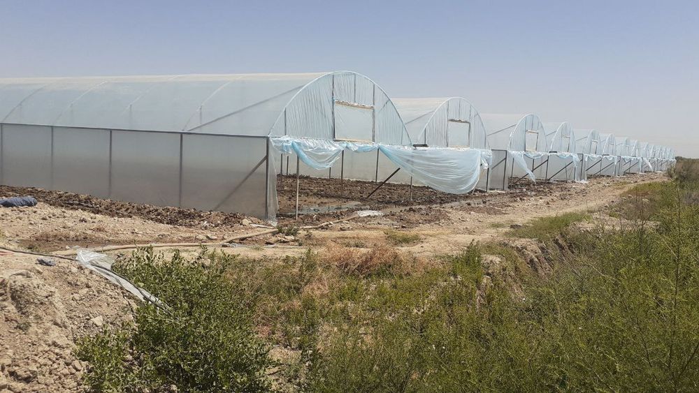 Иссикхона сотилади