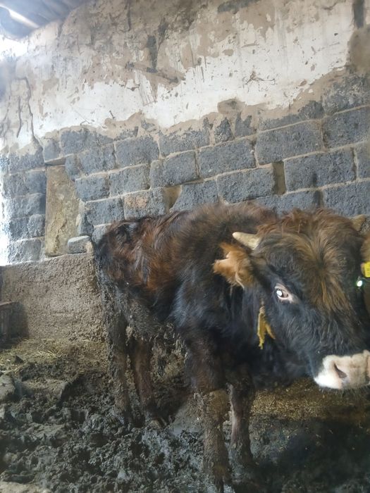 Сатылады талгарда тур