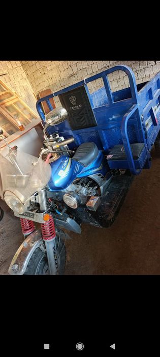 Muravey koʼrinishi yaxshi