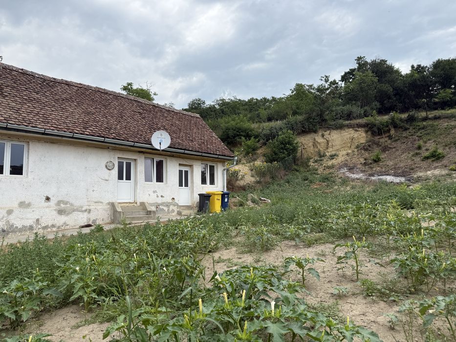 Casa 60 mp/Teren 1120 mp OCNA Sibiului Intravilan