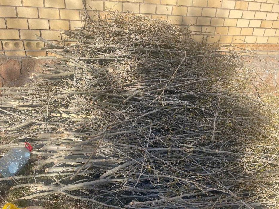 Дрова даром бесплатно