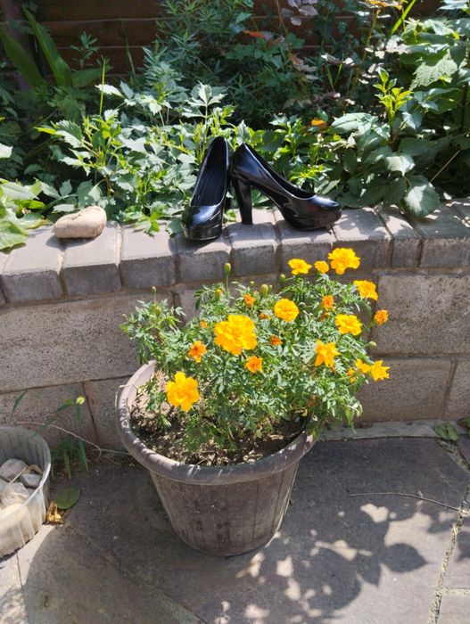 Продам несколько туфель