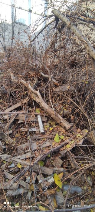 утин,дрова фруктовые ,дарахт, дераза