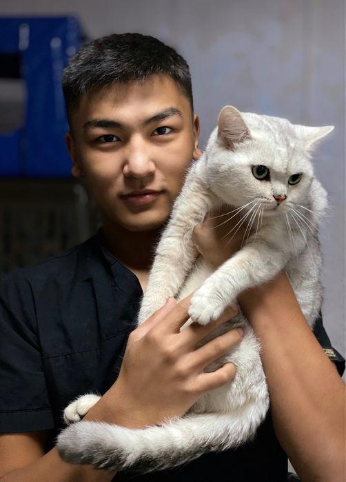 Ветеринар на дом 24/7