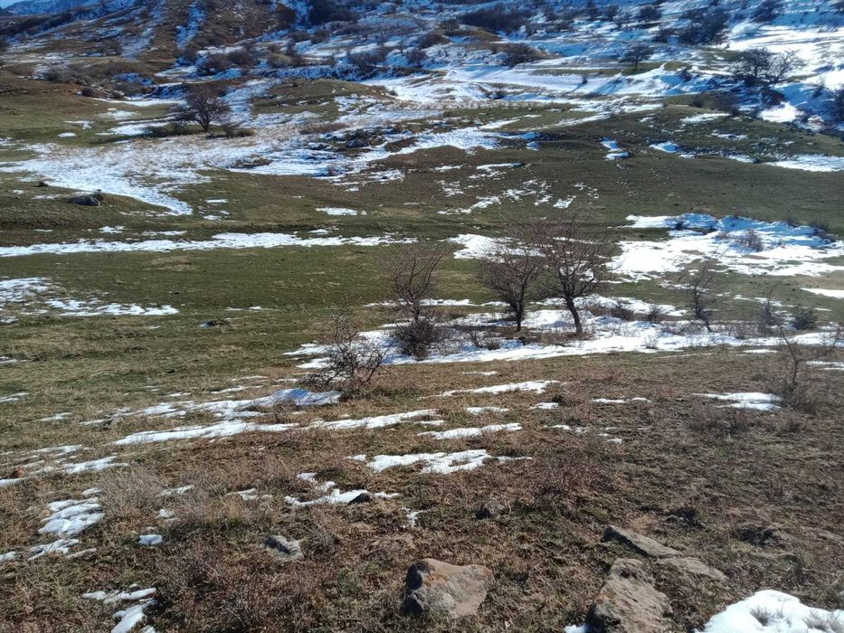 Продается участок в ущелье Бургулюк (Акмешит)