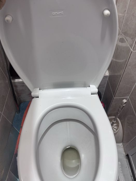 Унитаз рабочий полностью