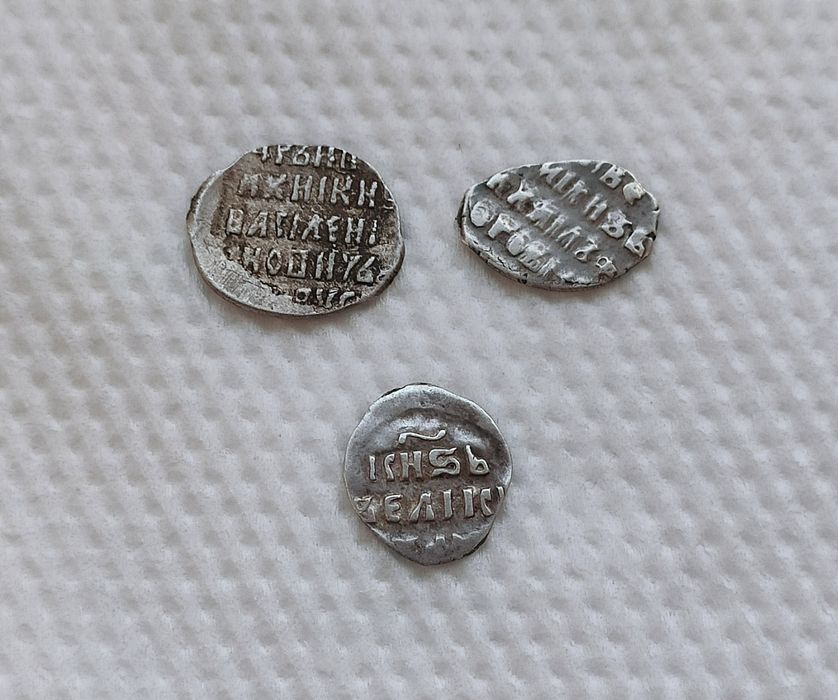 Серебряные монеты ( чешуйки )