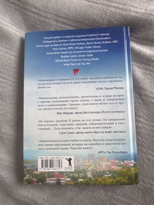 Небо повсюду — Дженди Нельсон