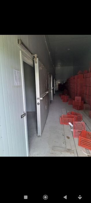 300 tonnalik muzlatkich ijaraga beriladi.