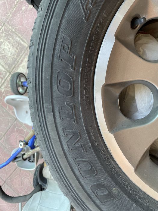 Шины Dunlop летние на прадо