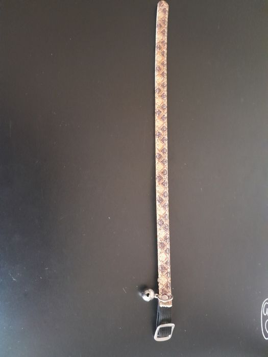 Lesa retractabilă 5 m, ham (bretele), bol și  zgardă cu clopoțel