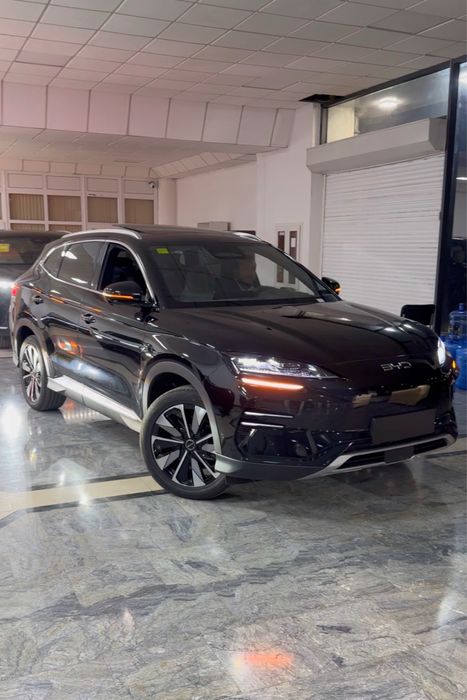 Champion BYD song plus