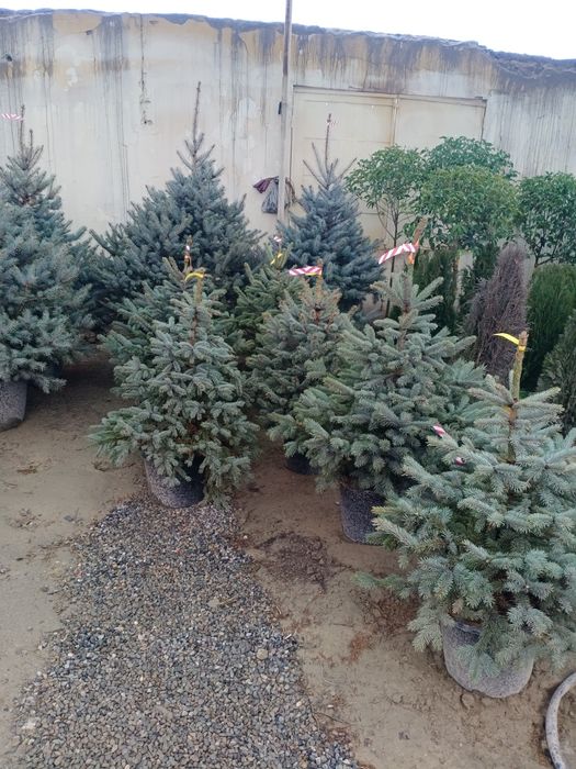 Гарантия качество