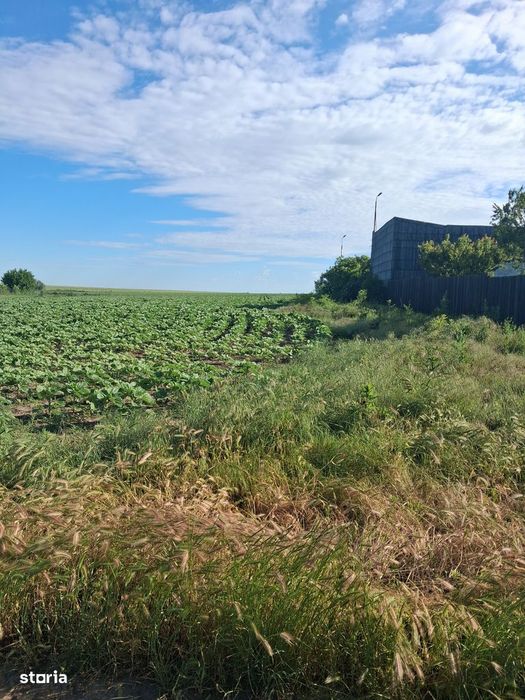 Teren agricol 1000mp, acces asfaltat, 35.000 EUR