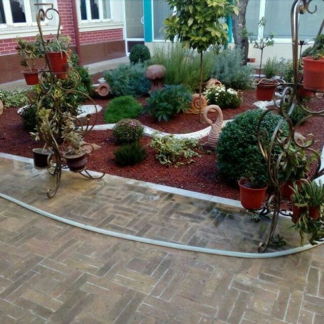 Gazon landshaf dizayin xizmat