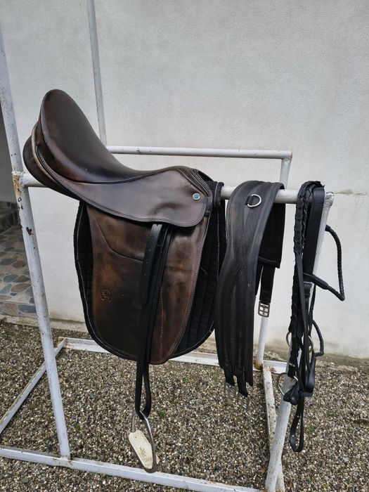 Șei dresaj,  sarituri, cizme, toca, frau