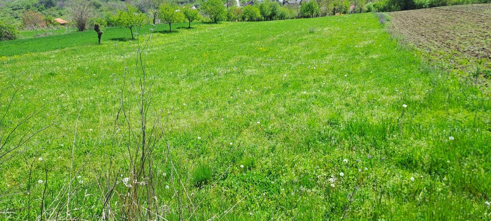 Teren intravilan Stefanesti-Otelesti