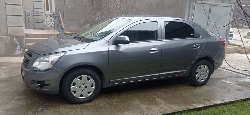 2023 cobalt gazi bor yurgani halol