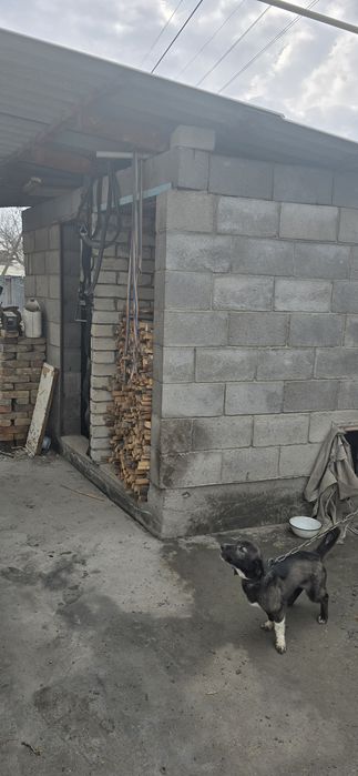 Продам дом Уштобе