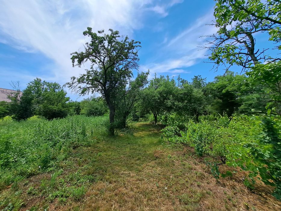 Teren intravilan 2300