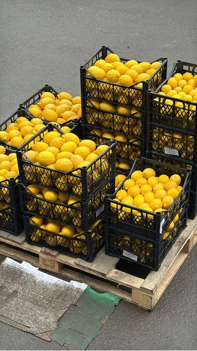 Лимон доя производства