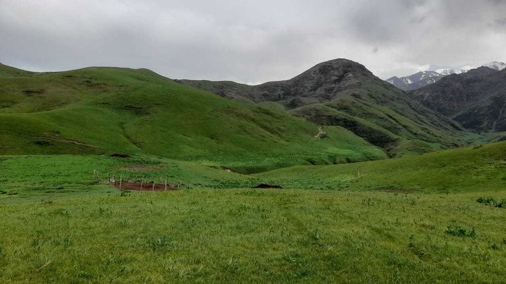 Срочно продается фазенда