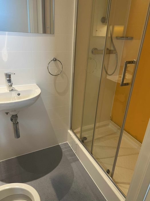 Execut lucrari de curetenie la firme si locuinte