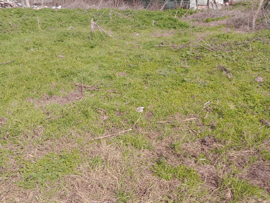 Продава се Парцел в с. Рудник, Област Бургас - 850 кв.м за 24 €/кв.м - Снимка #5