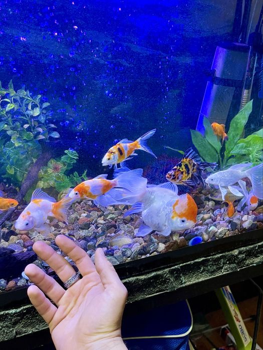 Аквариум 30 литров комплект с гарантией!