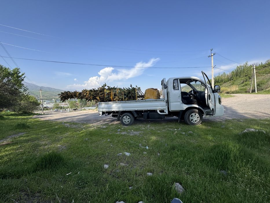 Kia bongo 2023 yil 62000 km tozza moshina tentlari bor