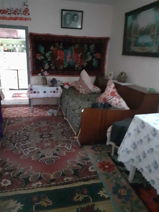 Casuta din vis, de la poalele padurii