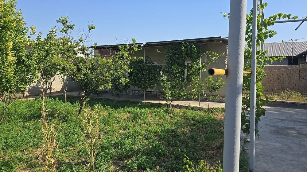 Ижарага дача дала ҳовли