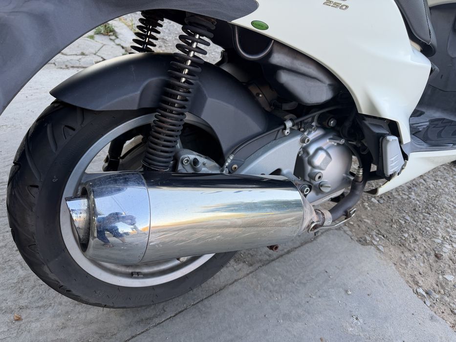 Malaguti password 250cc
