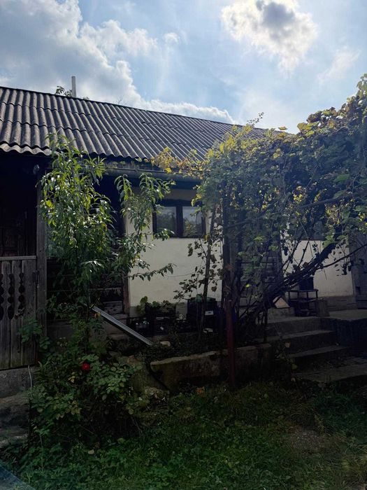 Casa traditionala cu teren de 1.600 mp, livada si vita-de-vie – Garlenii de Sus, Bacau