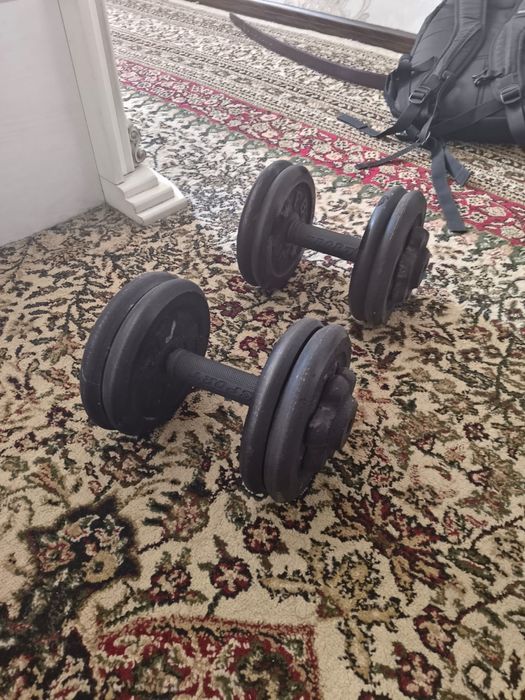 Гантел 12 кг ли 2 та