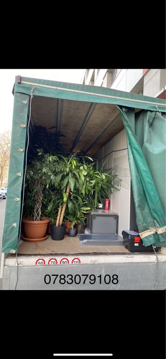Mutari Mobila si Transport marfa