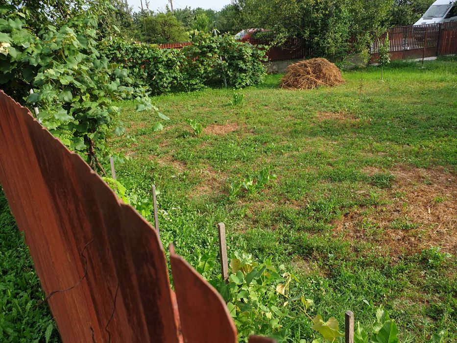 Vand doua case Stalpeni, Arges + teren arabil, 400mp + 4375mp, livada