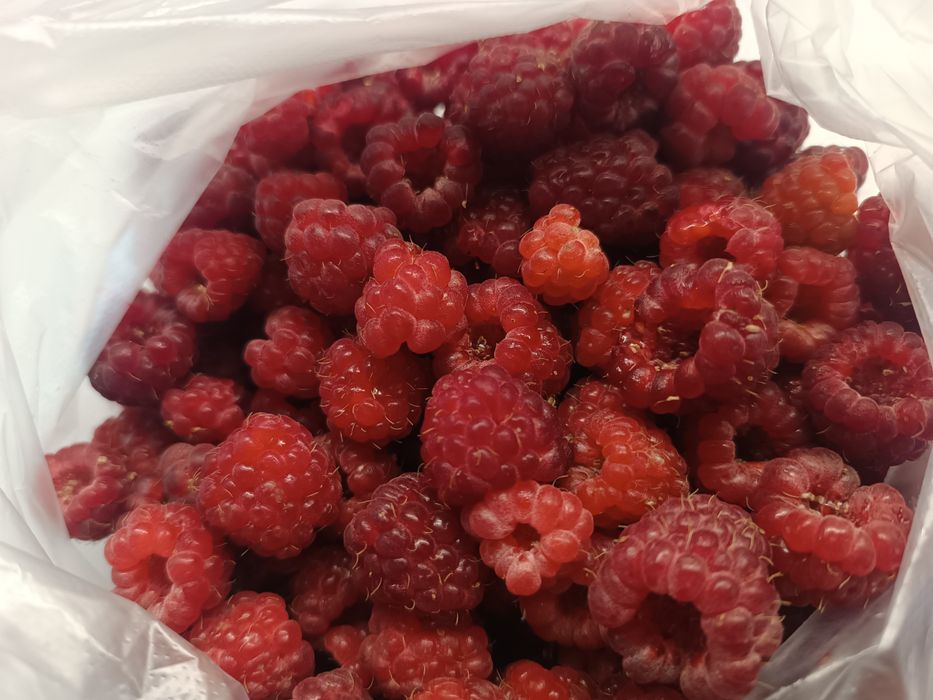 Продам малину домашнюю