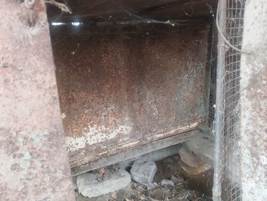 Parranda uchun qafas