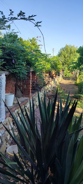 Продава се Къща в с. Воденичане, Област Ямбол - 80 кв.м за 274 €/кв.м - Снимка #8