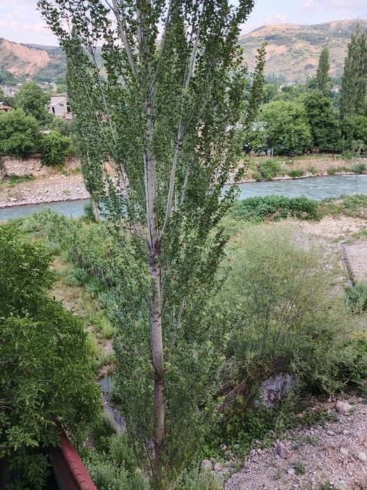 Srochna sotiladi