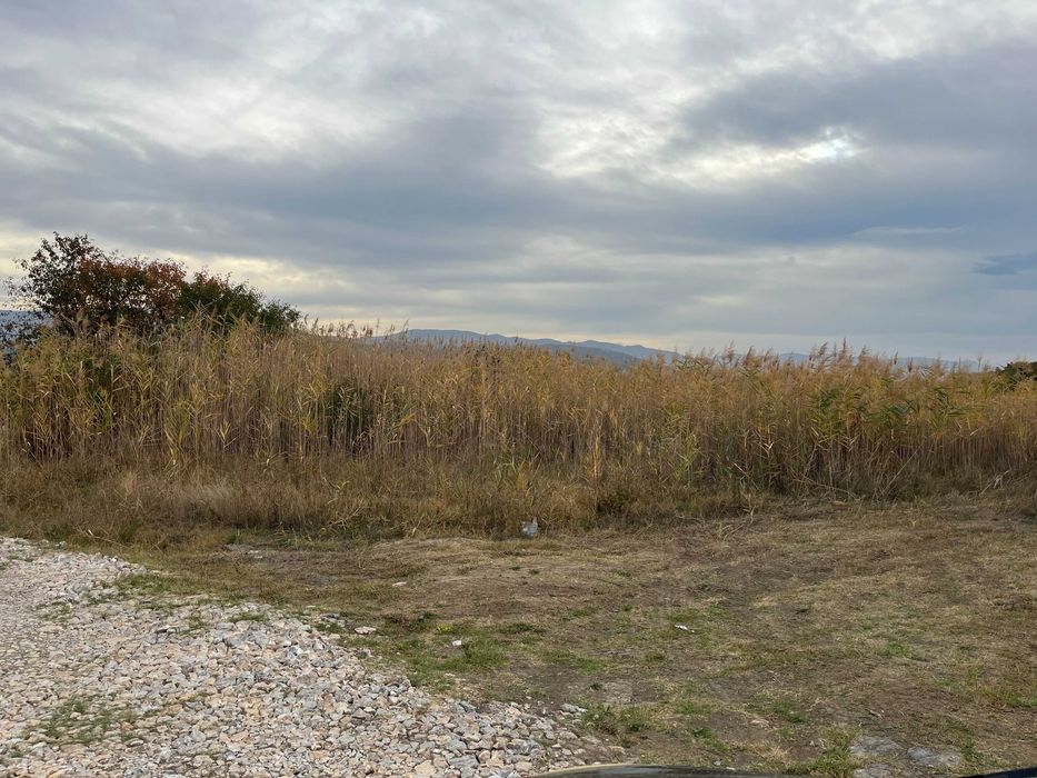 Продава се Парцел в с. Златитрап, Област Пловдив - 3000 кв.м за 21 €/кв.м - Снимка #5