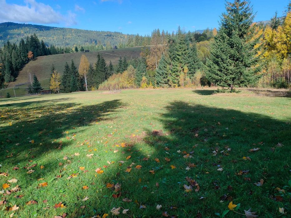 Teren de vanzare Saru Dornei