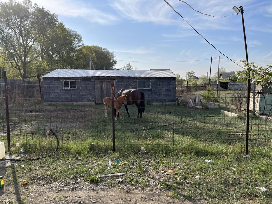 Продам дачу зимний вариянт