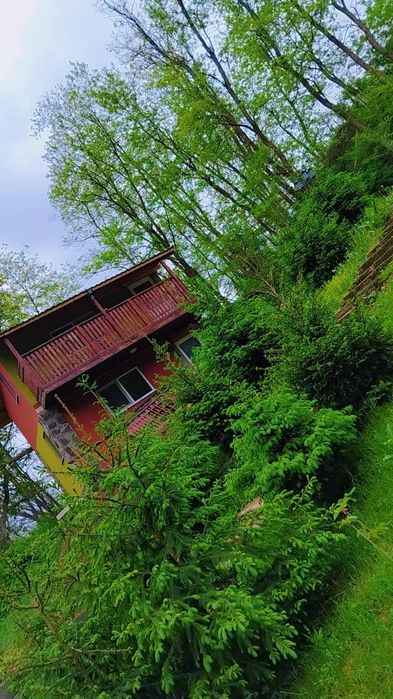 Cabana/locatie de inchiriat langa Alba Iulia(contact pentru mai multe