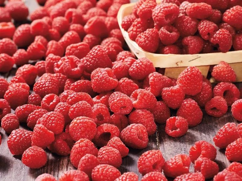 Продавам ягоди и малини расат